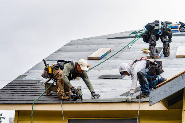 Professional Gutter Installation technician working in Hochheim, TX